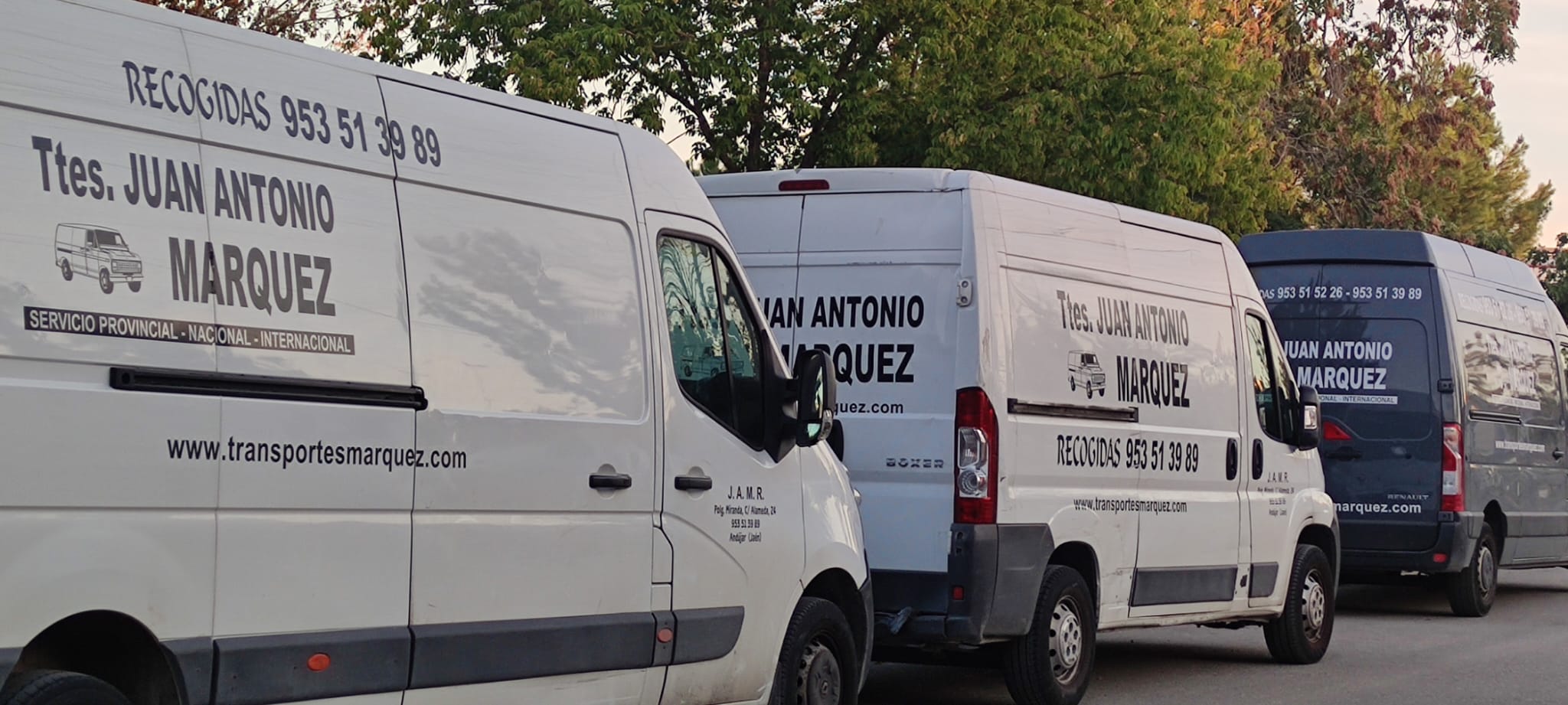 WhatsApp Image 2025-11-18 at 12.55.57(2)